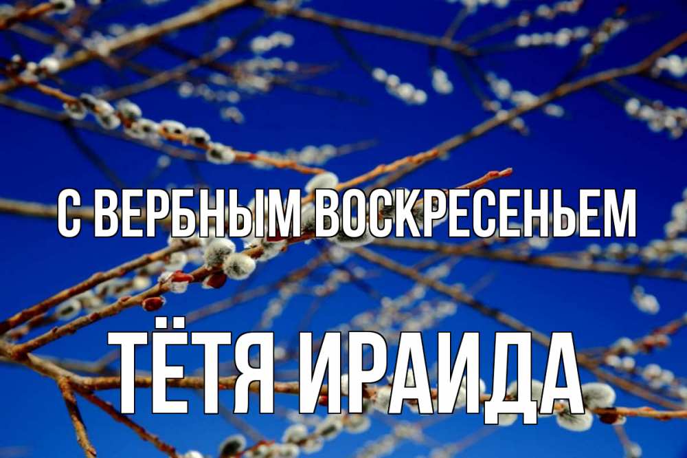 Открытка на каждый день с именем, Тётя-Ираида С вербным воскресеньем верба Прикольная открытка с пожеланием онлайн скачать бесплатно 