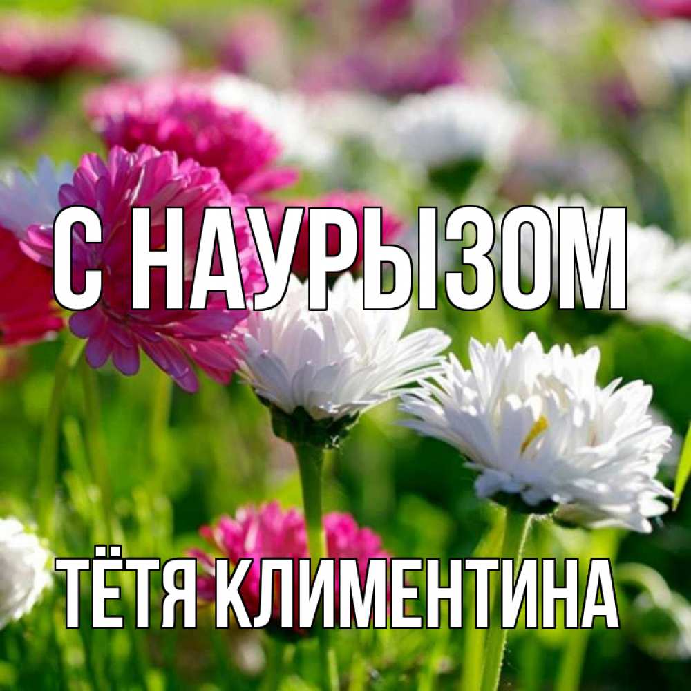 Открытка на каждый день с именем, Тётя-Климентина С наурызом праздник весны наурыз красота Прикольная открытка с пожеланием онлайн скачать бесплатно 