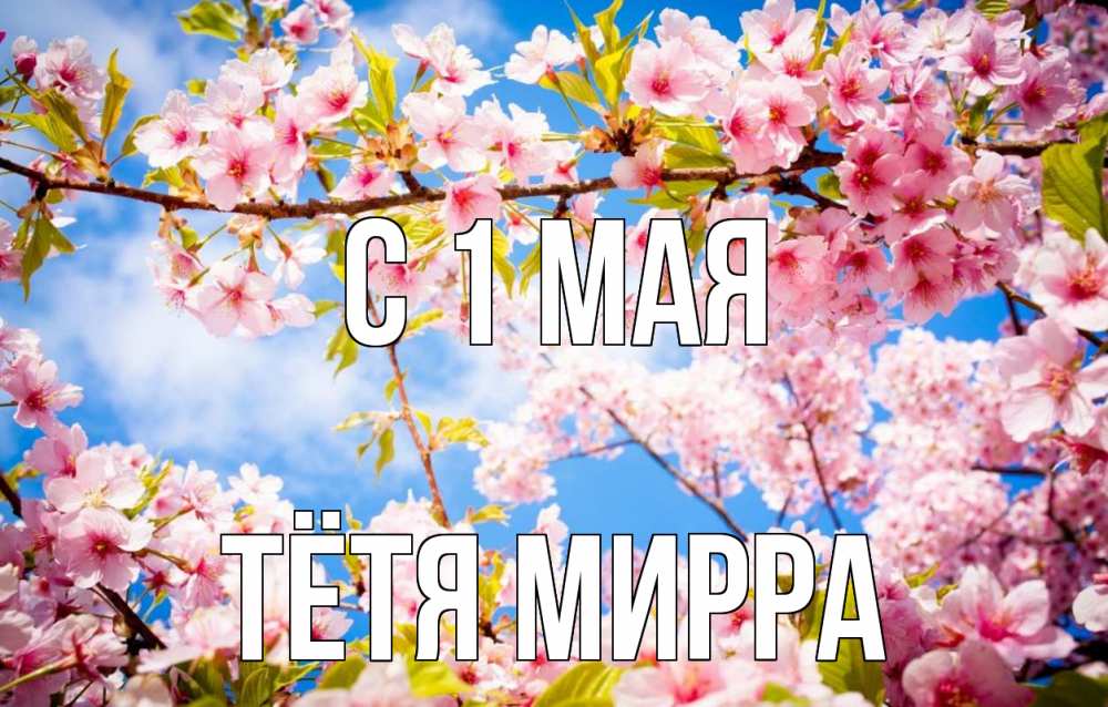 Открытка на каждый день с именем, Тётя-Мирра С 1 мая С 1 мая Прикольная открытка с пожеланием онлайн скачать бесплатно 