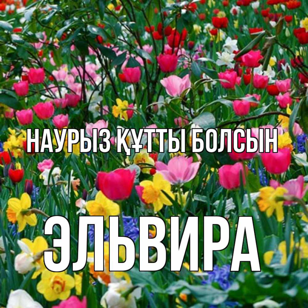 Открытка на каждый день с именем, Эльвира Наурыз құтты болсын с наурызом поздравления для женщины Прикольная открытка с пожеланием онлайн скачать бесплатно 