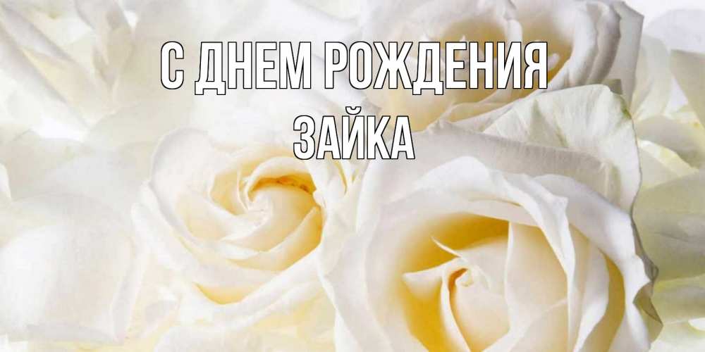 Открытка на каждый день с именем, зайка С днем рождения открыточки на день рождения любимым Прикольная открытка с пожеланием онлайн скачать бесплатно 