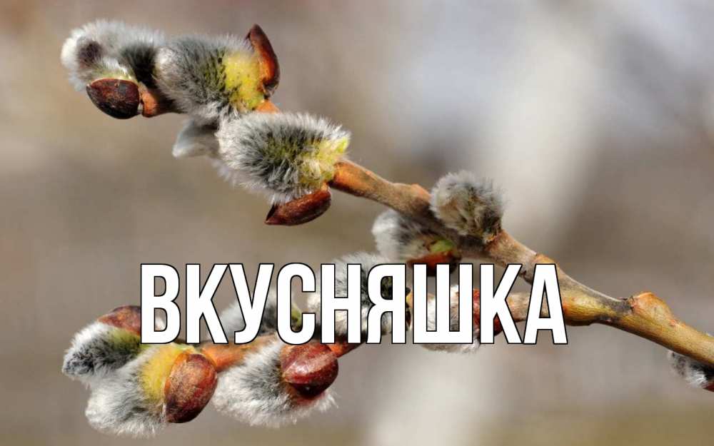 Открытка на каждый день с именем, Вкусняшка Главная Верба Прикольная открытка с пожеланием онлайн скачать бесплатно 