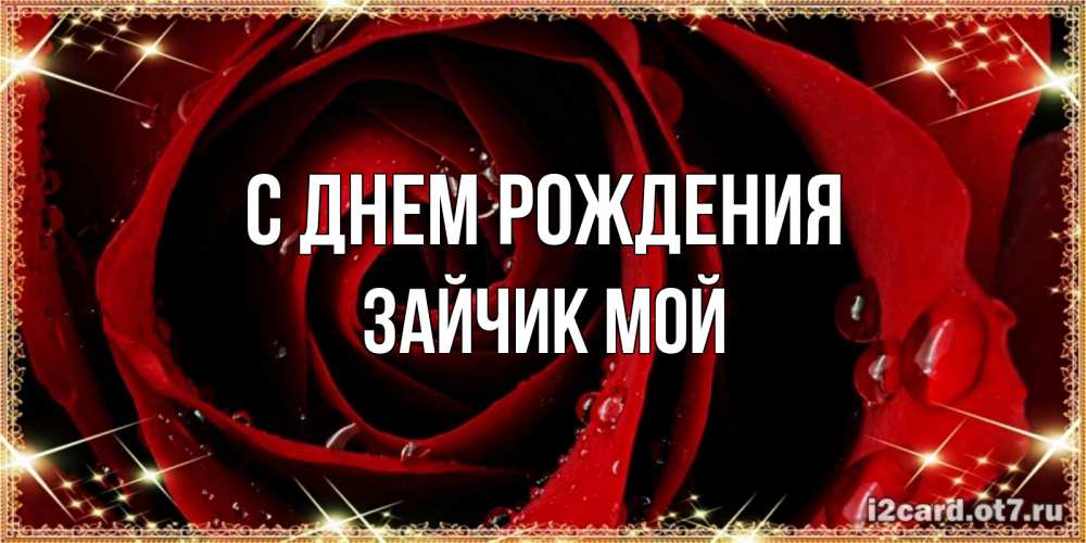 Открытка на каждый день с именем, Зайчик-мой С днем рождения цветок в росе на день рождения Прикольная открытка с пожеланием онлайн скачать бесплатно 