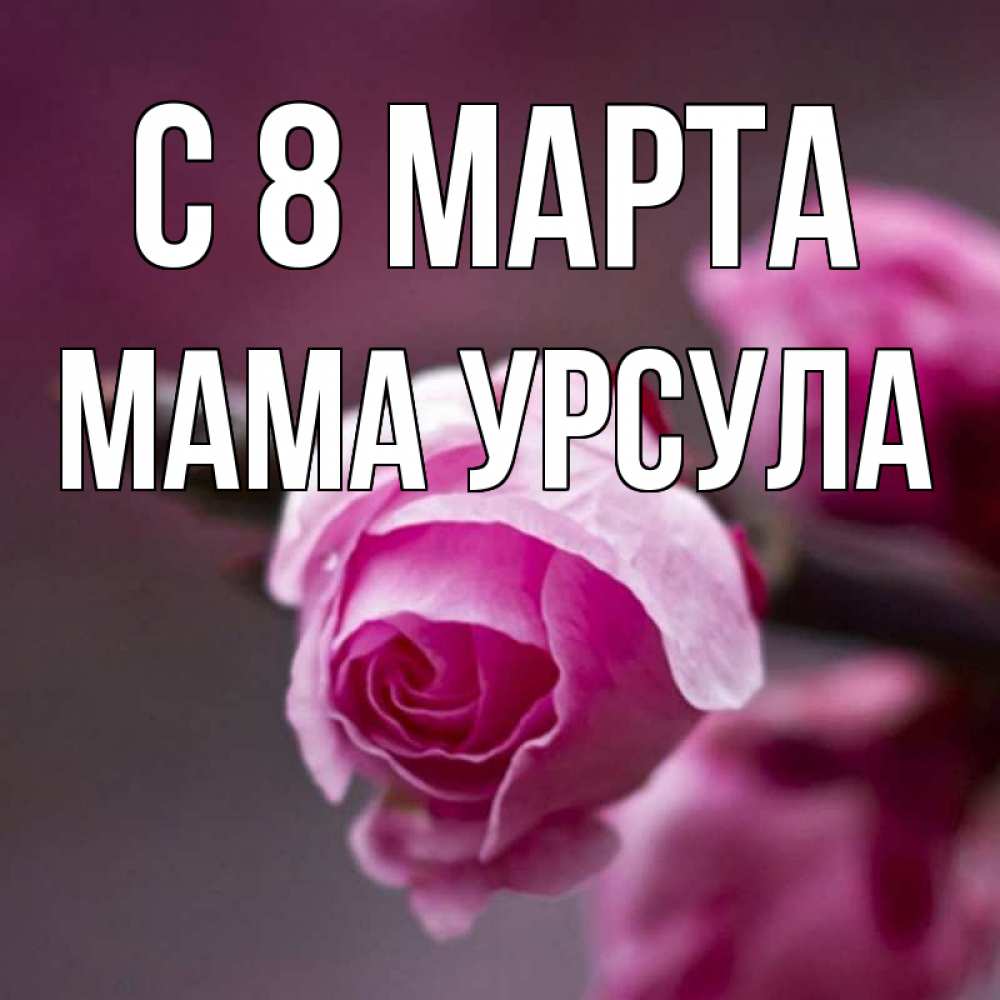 Открытка на каждый день с именем, Мама-Урсула С 8 марта весна Прикольная открытка с пожеланием онлайн скачать бесплатно 