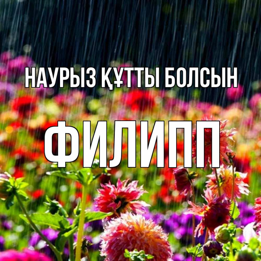 Открытка на каждый день с именем, Филипп Наурыз құтты болсын цветы под дождиком к наурызу Прикольная открытка с пожеланием онлайн скачать бесплатно 