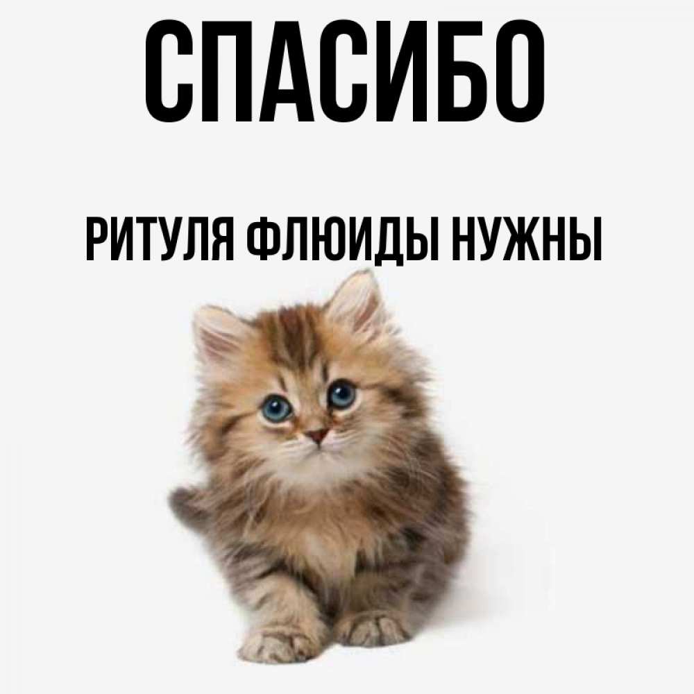Ритуля картинки с именем