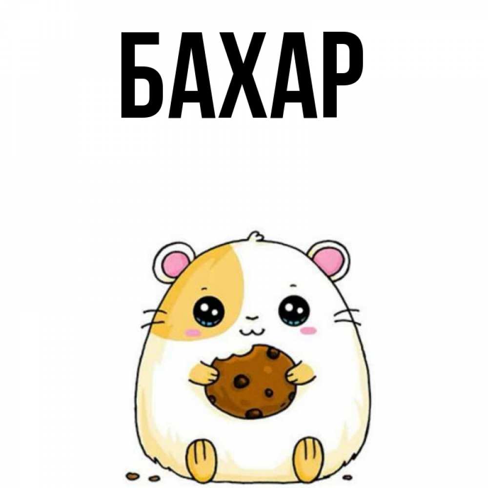 Открытка на каждый день с именем, Бахар Главная есть печеньку. Утречко Прикольная открытка с пожеланием онлайн скачать бесплатно 