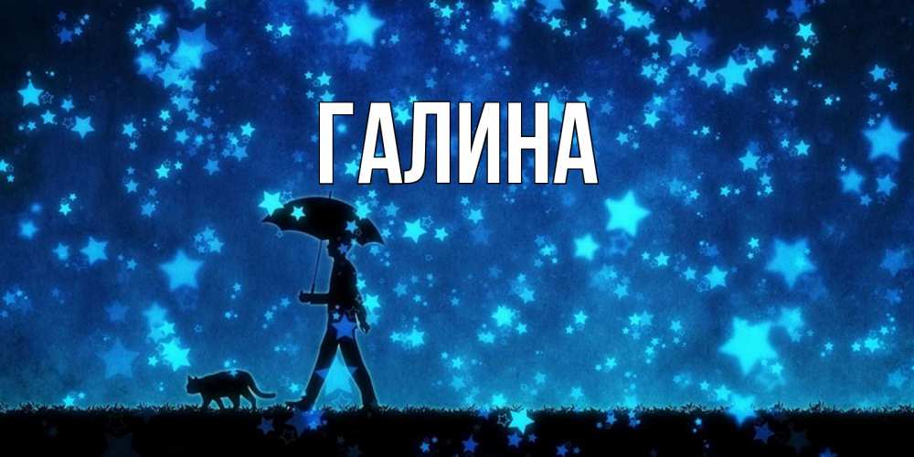 Открытка на каждый день с именем, Галина Главная ночные прогулки с котом под звездами Прикольная открытка с пожеланием онлайн скачать бесплатно 