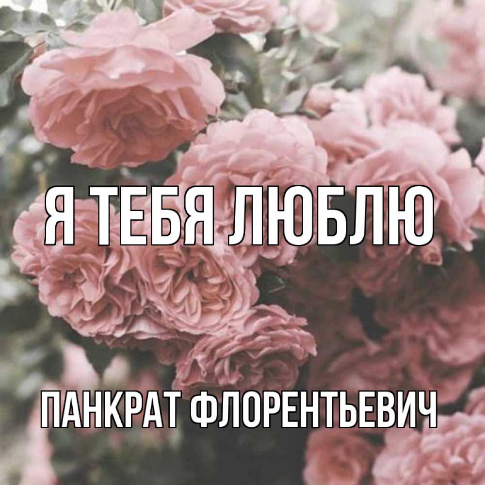 Картинка Я тебя люблю, Панкрат Флорентьевич