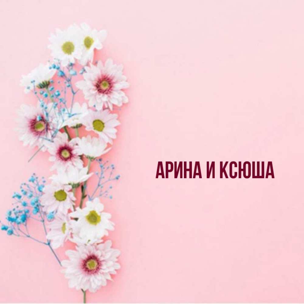 Картинка  с именем , Арина и Ксюша