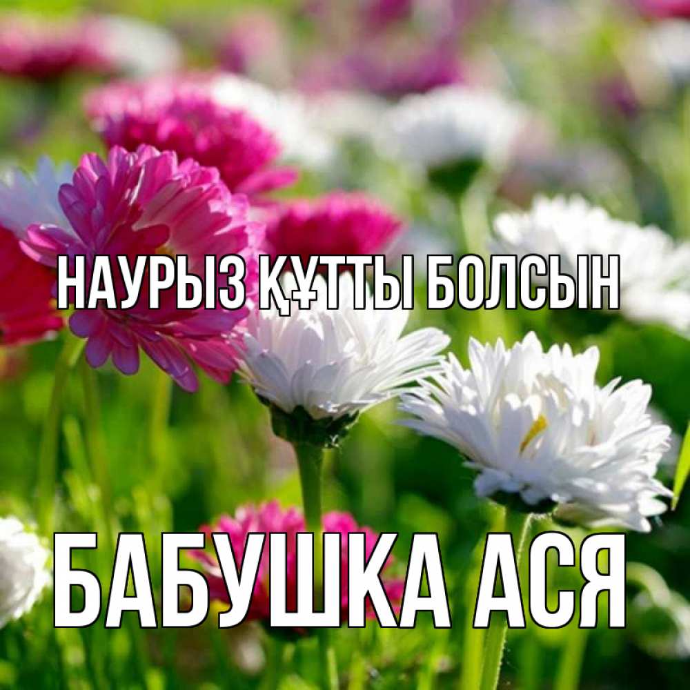 Открытка на каждый день с именем, Бабушка-Ася Наурыз құтты болсын наурыз Прикольная открытка с пожеланием онлайн скачать бесплатно 