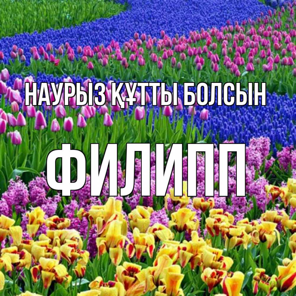 Открытка на каждый день с именем, Филипп Наурыз құтты болсын цветы Прикольная открытка с пожеланием онлайн скачать бесплатно 