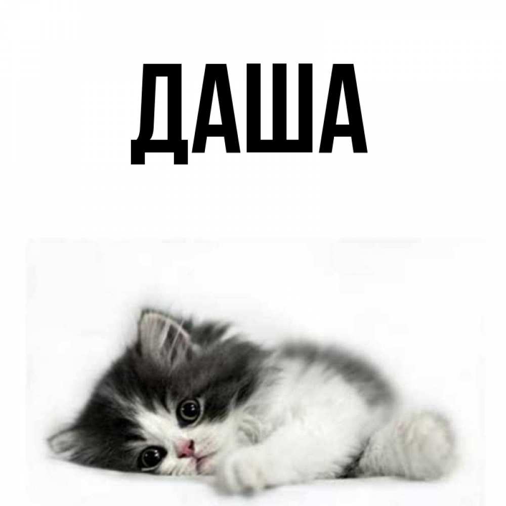 Картинки с именем даша дарья дашуля, днем