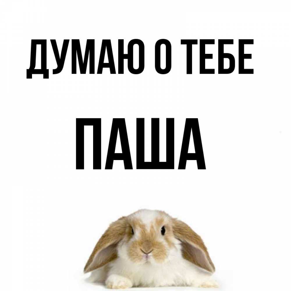 Прикольные картинки с именем паша