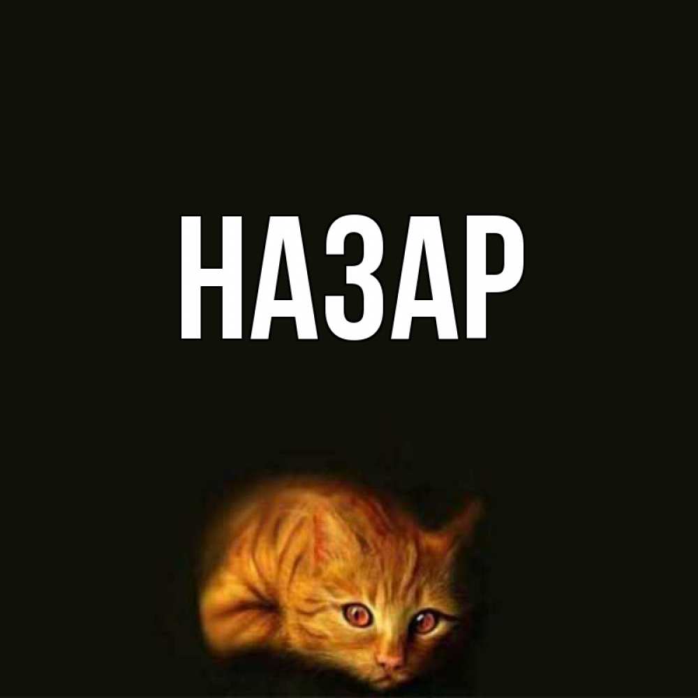 Открытка на каждый день с именем, Назар Главная лежащий кот в темноте Прикольная открытка с пожеланием онлайн скачать бесплатно 