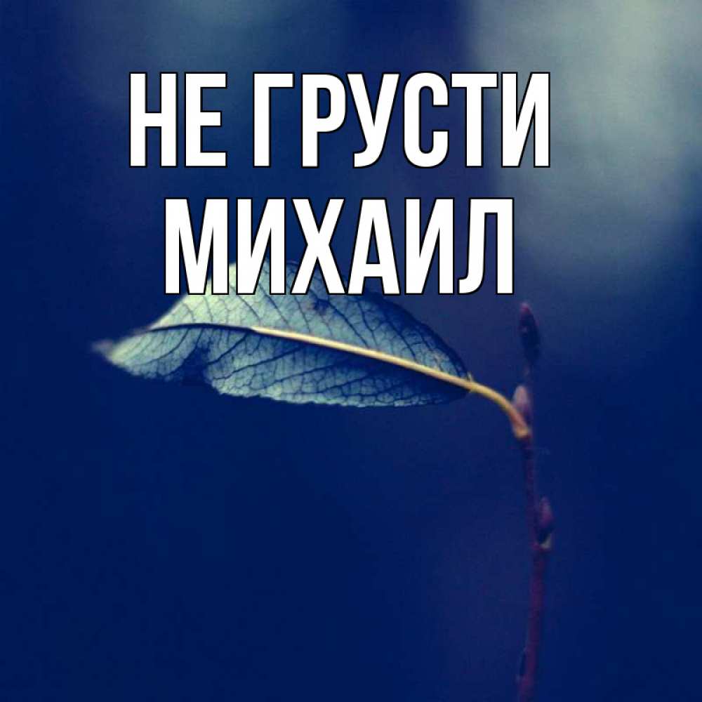 Открытка на каждый день с именем, Михаил Не грусти растение Прикольная открытка с пожеланием онлайн скачать бесплатно 