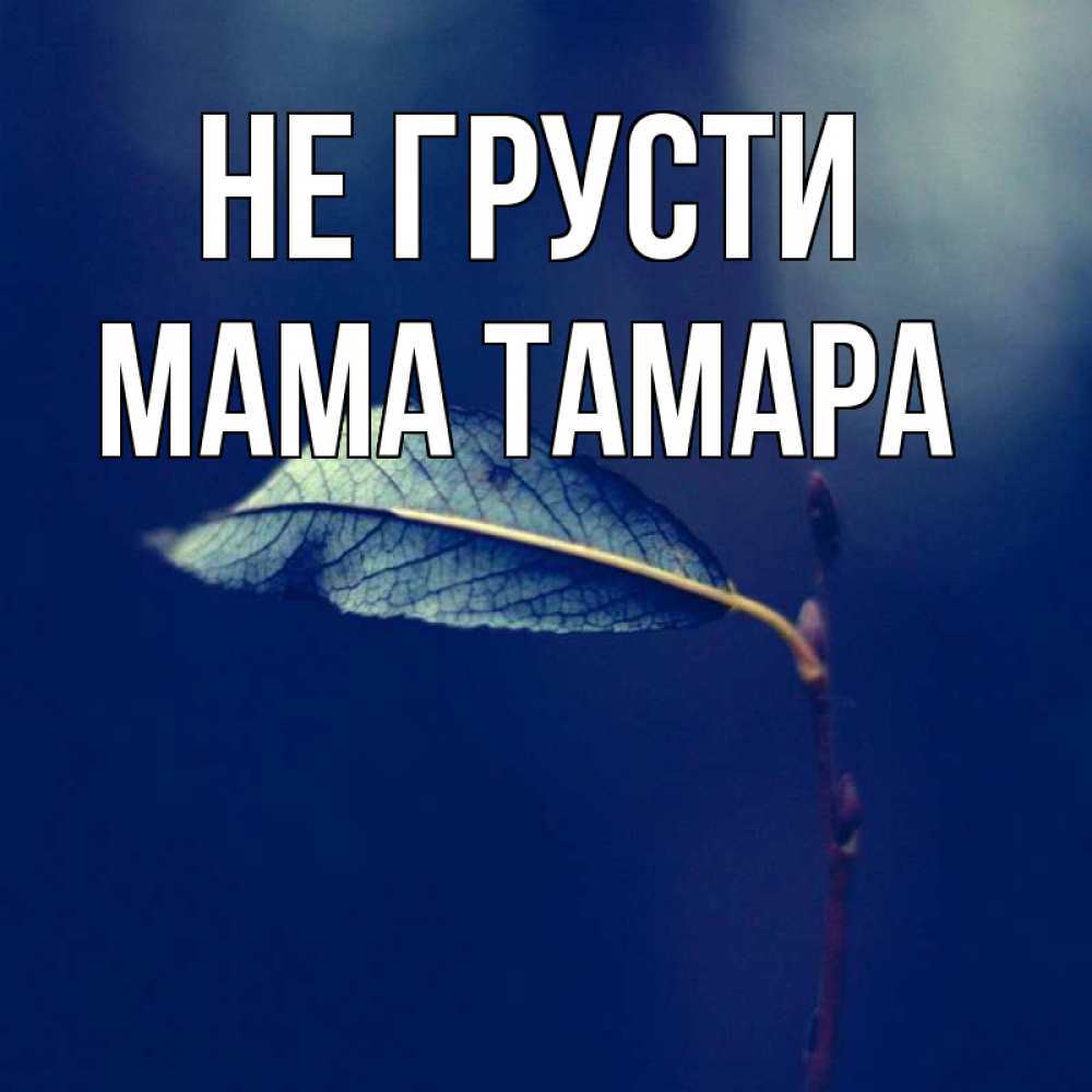 Открытка на каждый день с именем, Мама-Тамара Не грусти растение Прикольная открытка с пожеланием онлайн скачать бесплатно 