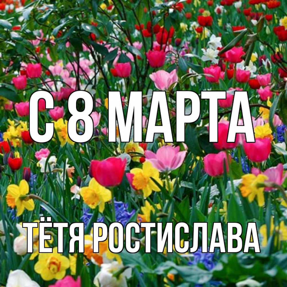 Открытка на каждый день с именем, Тётя-Ростислава С 8 марта с международным женским днем поздравления для женщины Прикольная открытка с пожеланием онлайн скачать бесплатно 