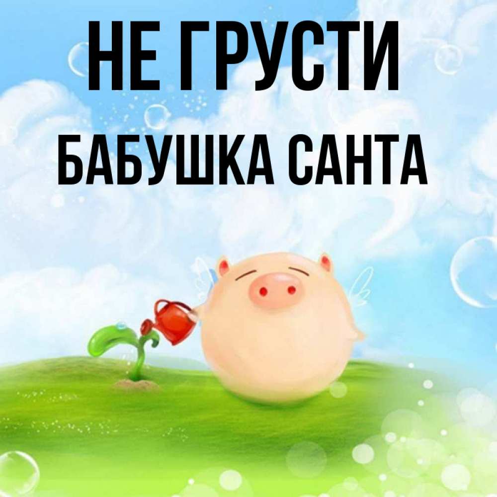 Открытка на каждый день с именем, Бабушка-Санта Не грусти поливает цветок порося Прикольная открытка с пожеланием онлайн скачать бесплатно 