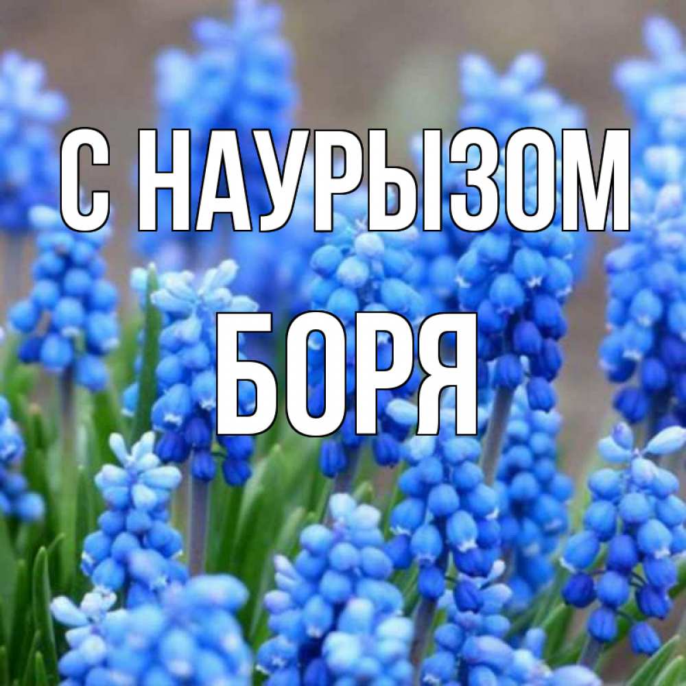 Открытка на каждый день с именем, Боря С наурызом Поздравительная открытка для женщин с цветами на праздничную дату Прикольная открытка с пожеланием онлайн скачать бесплатно 