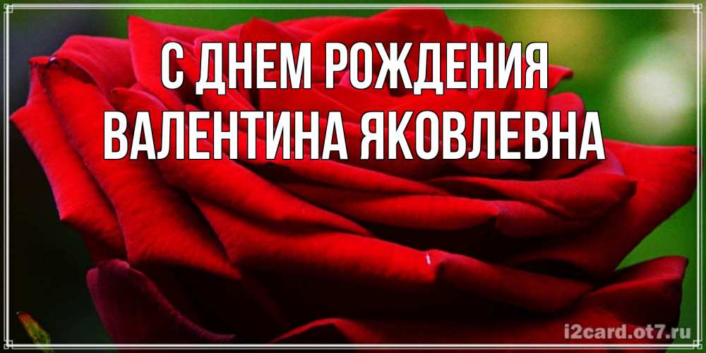 Открытка на каждый день с именем, Валентина-Яковлевна С днем рождения розочка очень красивая Прикольная открытка с пожеланием онлайн скачать бесплатно 