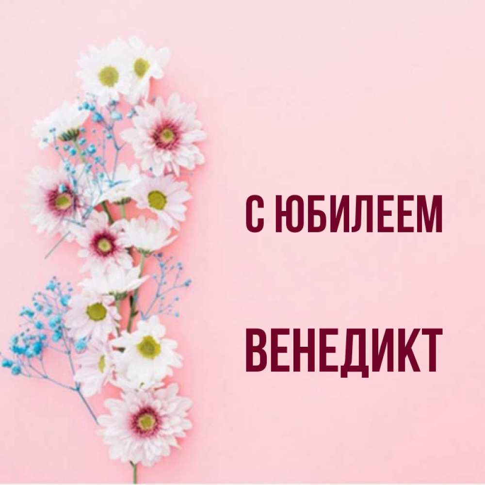 Открытка на каждый день с именем, Венедикт С юбилеем Родная моя с днем рождения тебя картинка с цветами белыми и голубыми Прикольная открытка с пожеланием онлайн скачать бесплатно 