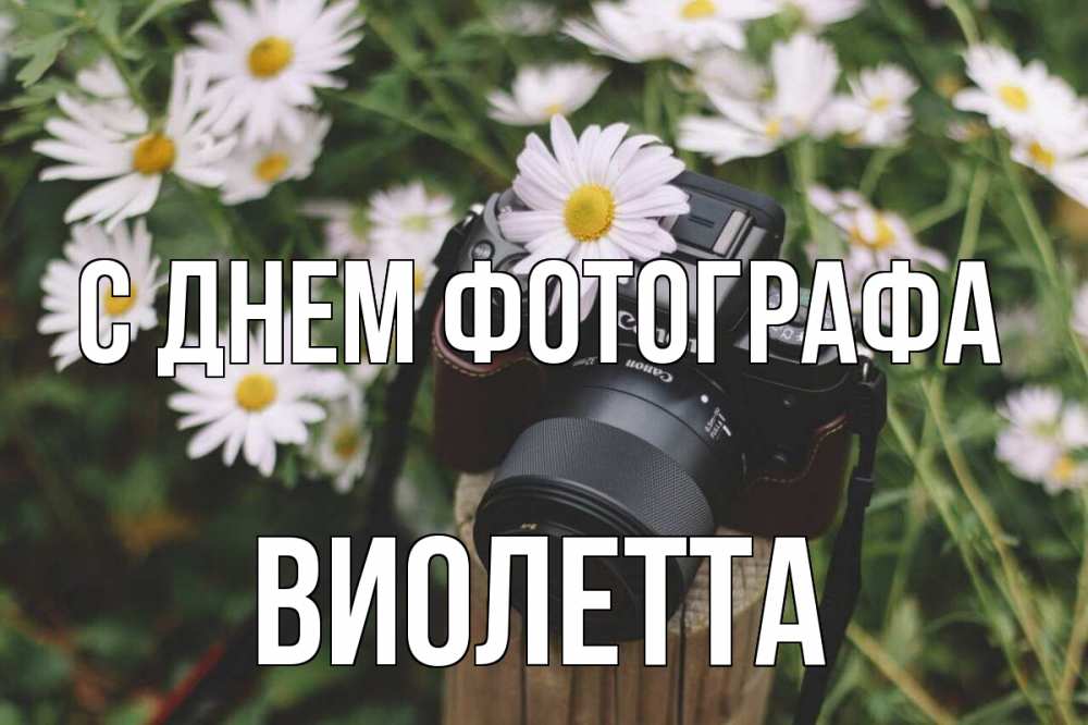 Открытка на каждый день с именем, Виолетта С днем фотографа с днем фотографа Прикольная открытка с пожеланием онлайн скачать бесплатно 