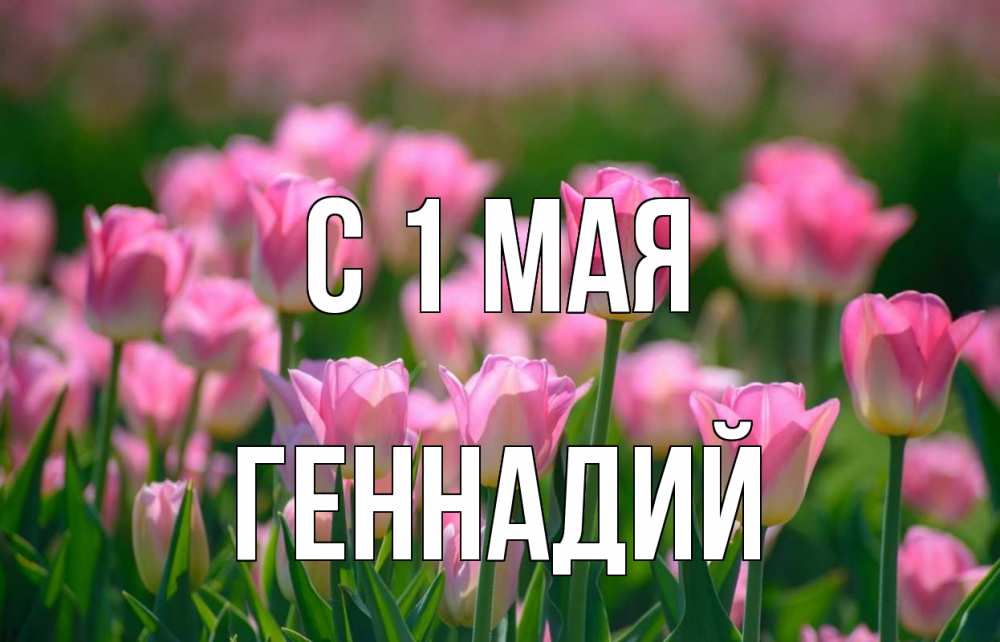 Открытка на каждый день с именем, Геннадий С 1 мая С 1 мая Прикольная открытка с пожеланием онлайн скачать бесплатно 