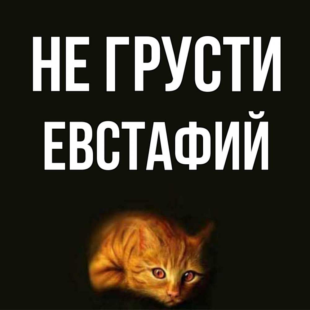 Открытка на каждый день с именем, Евстафий Не грусти лежащий кот в темноте Прикольная открытка с пожеланием онлайн скачать бесплатно 