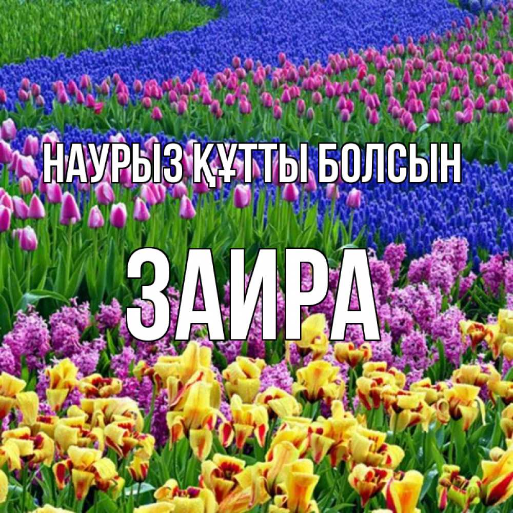 Открытка на каждый день с именем, Заира Наурыз құтты болсын цветы Прикольная открытка с пожеланием онлайн скачать бесплатно 
