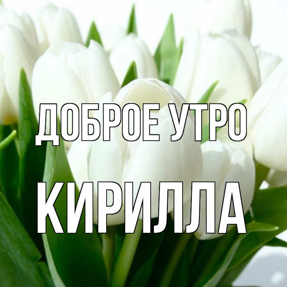 Открытка на каждый день с именем, Кирилла Доброе утро открытки на каждый день по именам Прикольная открытка с пожеланием онлайн скачать бесплатно 
