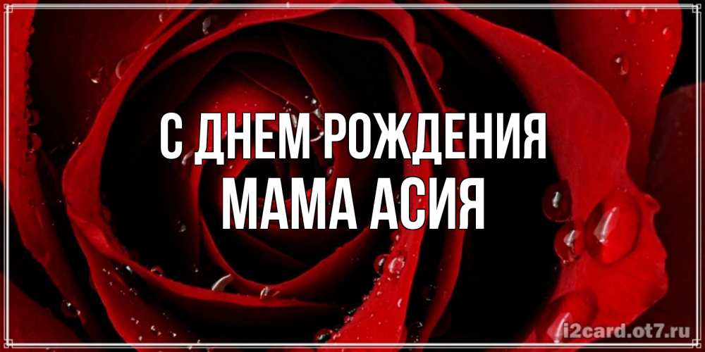 Открытка на каждый день с именем, Мама-Асия С днем рождения крупная бордовая роза Прикольная открытка с пожеланием онлайн скачать бесплатно 