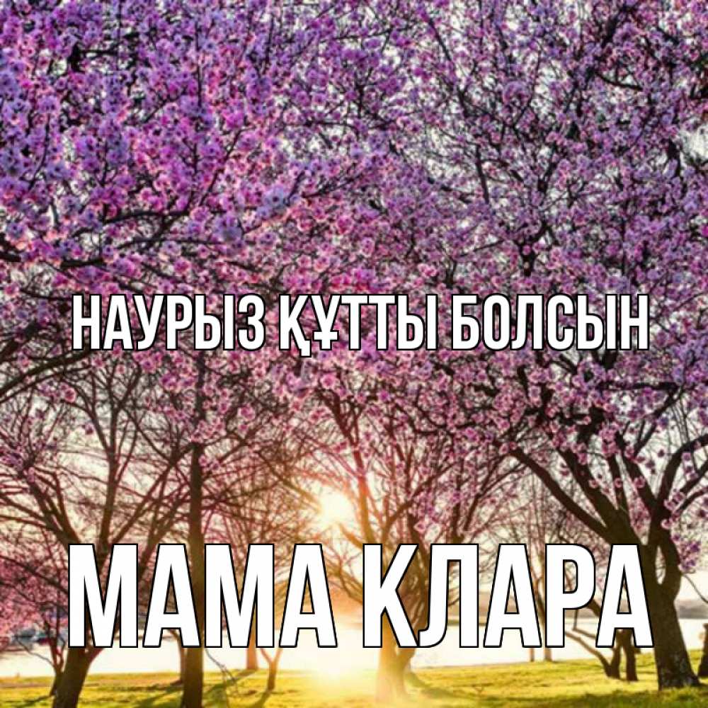 Открытка на каждый день с именем, Мама-Клара Наурыз құтты болсын наурыз Прикольная открытка с пожеланием онлайн скачать бесплатно 