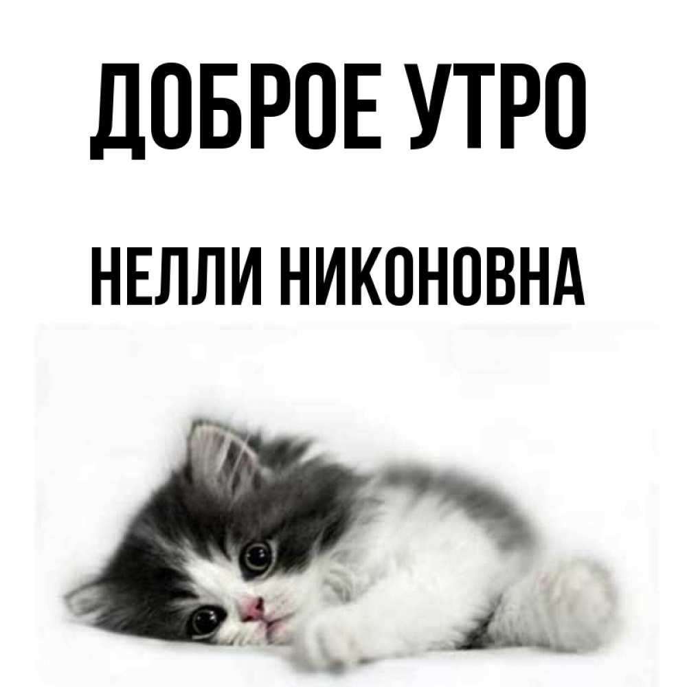 Доброе Утро Нелли Открытка