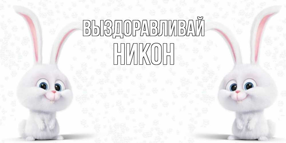 Открытка на каждый день с именем, Никон Выздоравливай не болей с зайцем Прикольная открытка с пожеланием онлайн скачать бесплатно 