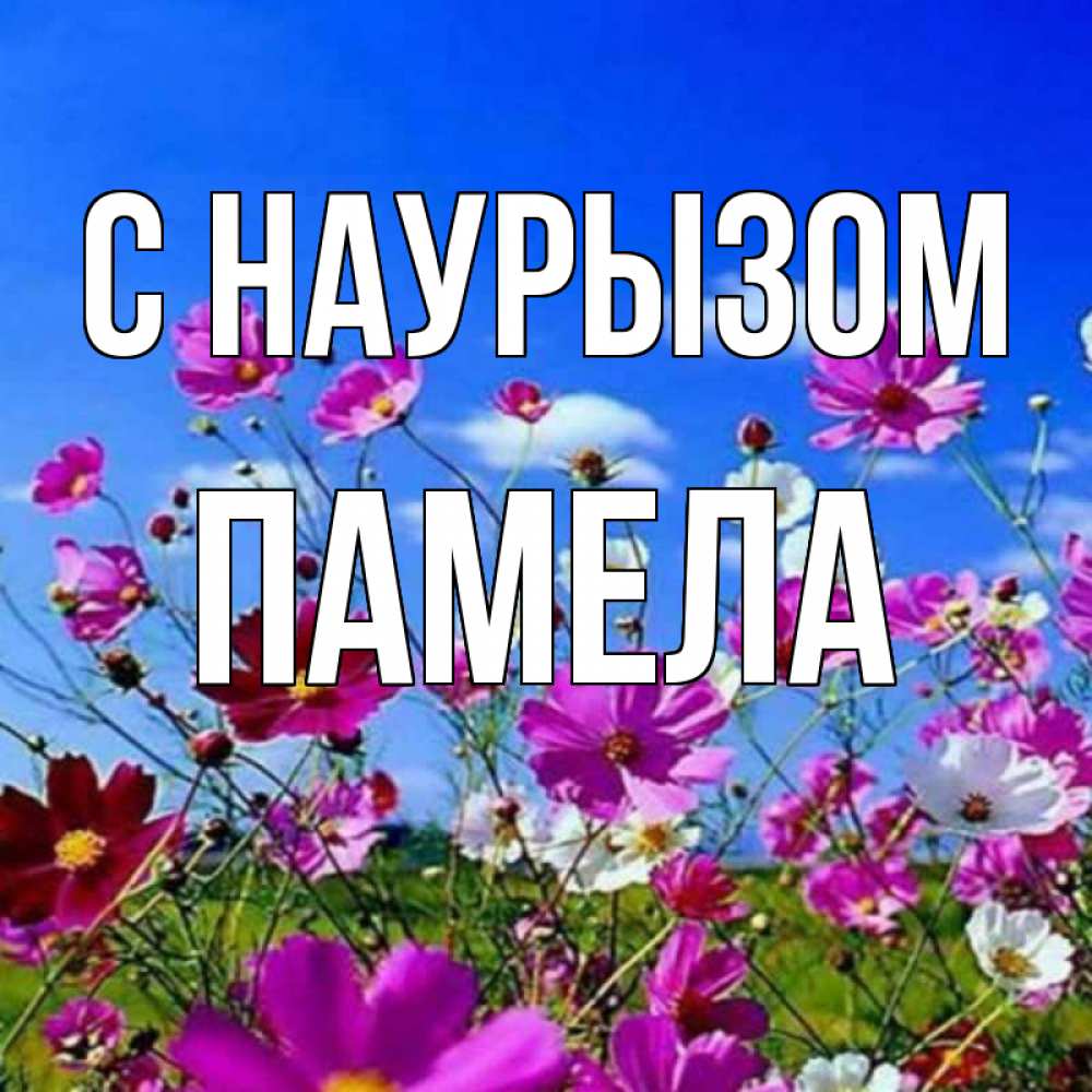 Открытка на каждый день с именем, Памела С наурызом цветы Прикольная открытка с пожеланием онлайн скачать бесплатно 