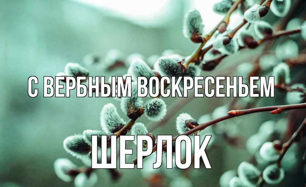 Открытка на каждый день с именем, Шерлок С вербным воскресеньем верба Прикольная открытка с пожеланием онлайн скачать бесплатно 