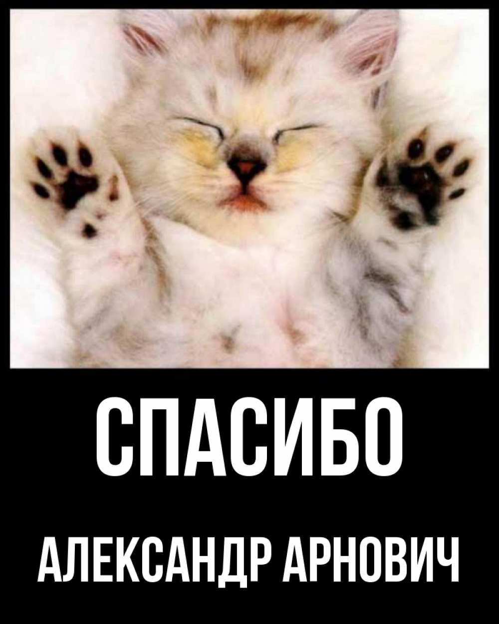 Спасибо котик картинка