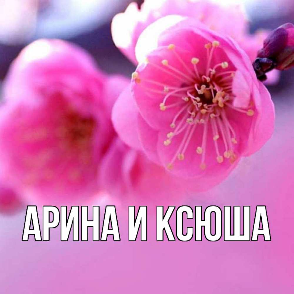 Открытка на каждый день с именем, Арина-и-Ксюша Главная наурыз мейрам Прикольная открытка с пожеланием онлайн скачать бесплатно 