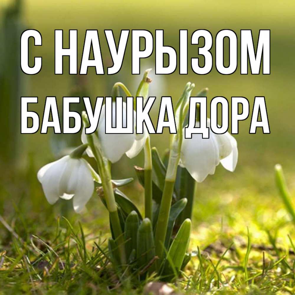 Открытка на каждый день с именем, Бабушка-Дора С наурызом ранние цветы 2 Прикольная открытка с пожеланием онлайн скачать бесплатно 