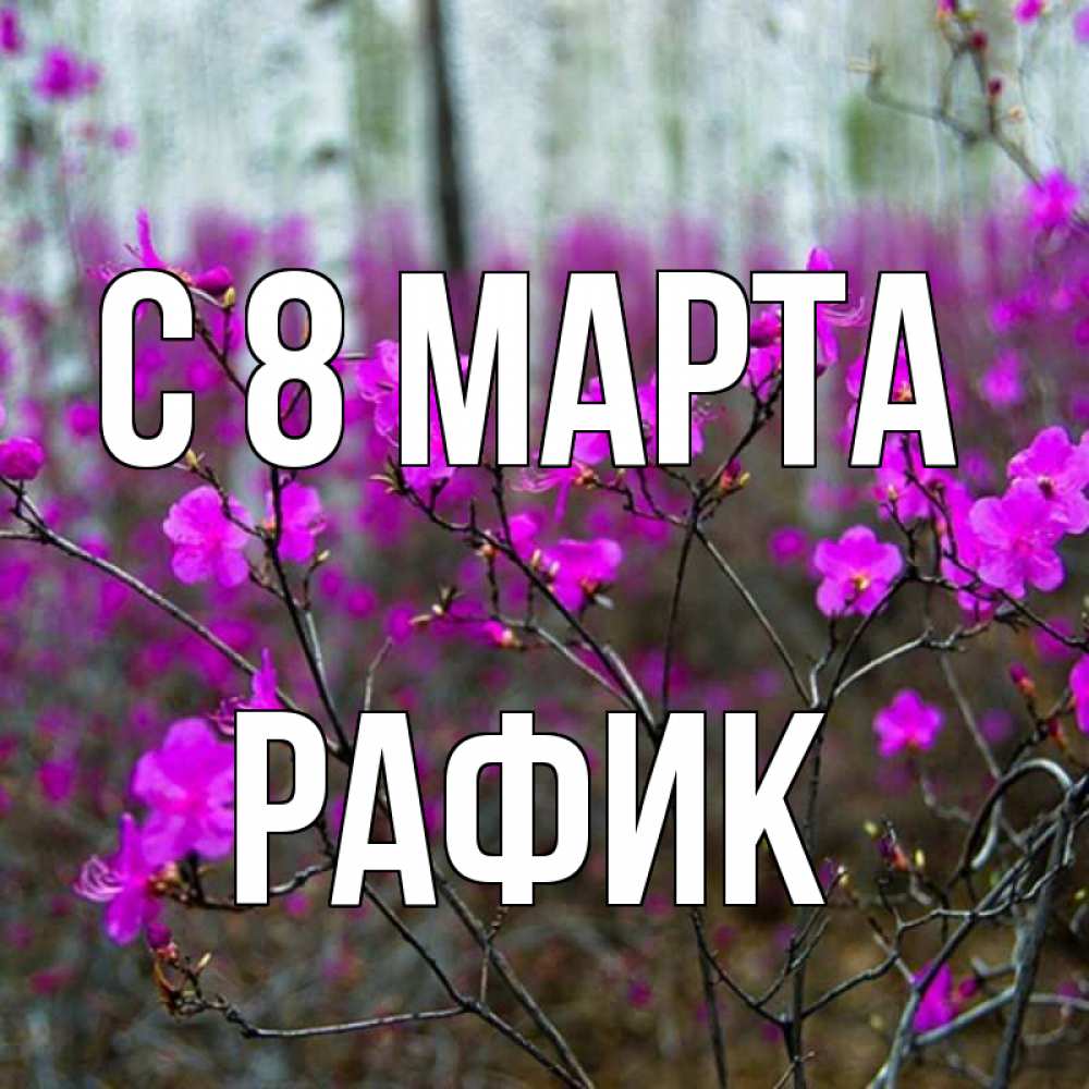 Картинка С 8 марта, Рафик
