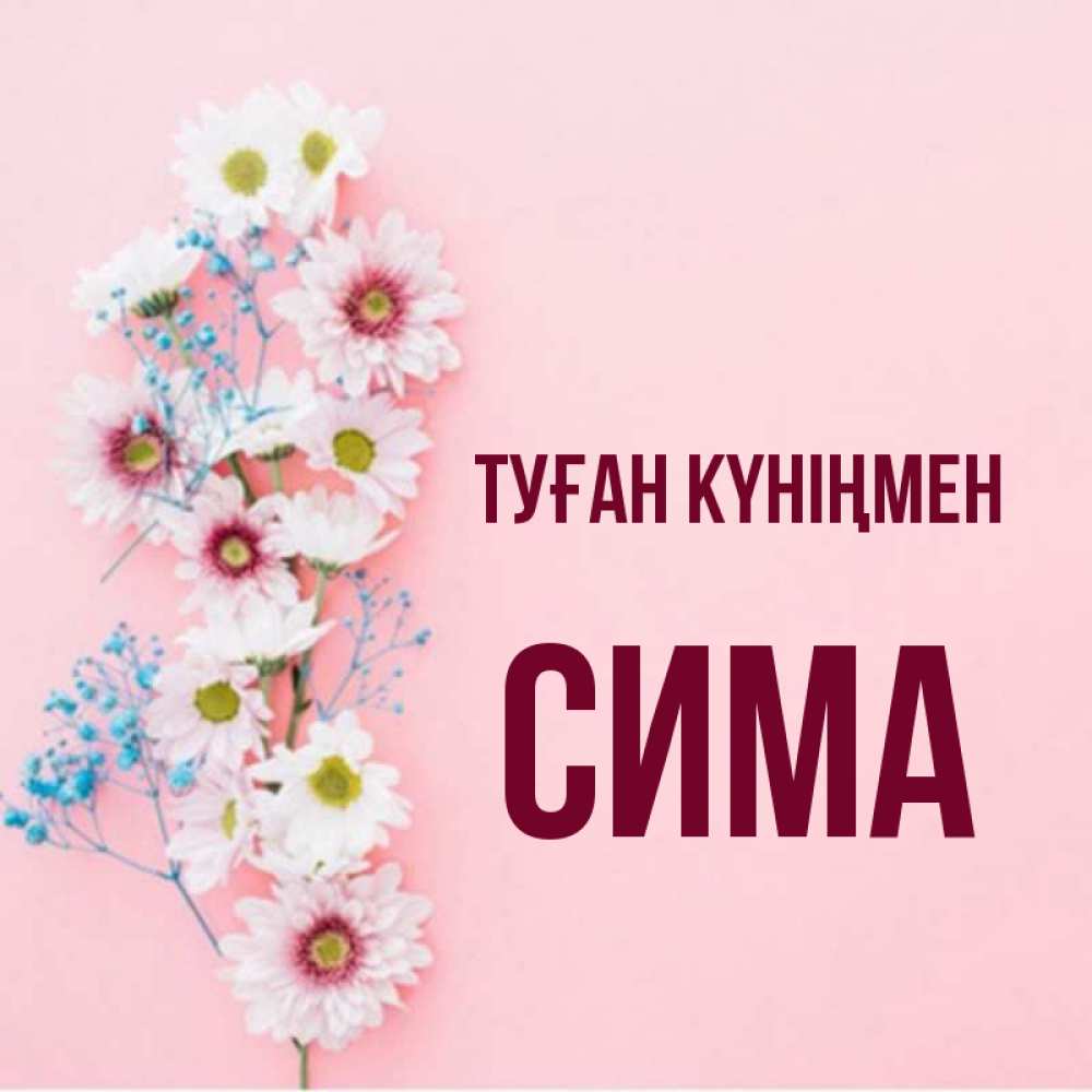 Открытка с именем, Сима, Туған күніңмен