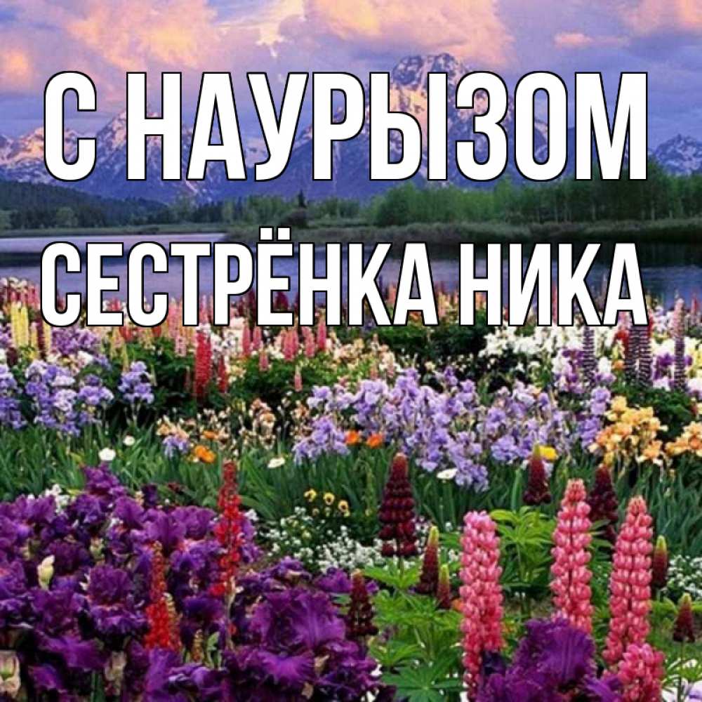Открытка на каждый день с именем, Сестрёнка-Ника С наурызом праздник весны наурыз Прикольная открытка с пожеланием онлайн скачать бесплатно 