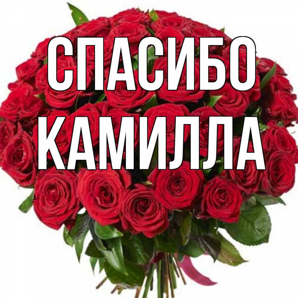 Имя камила картинки