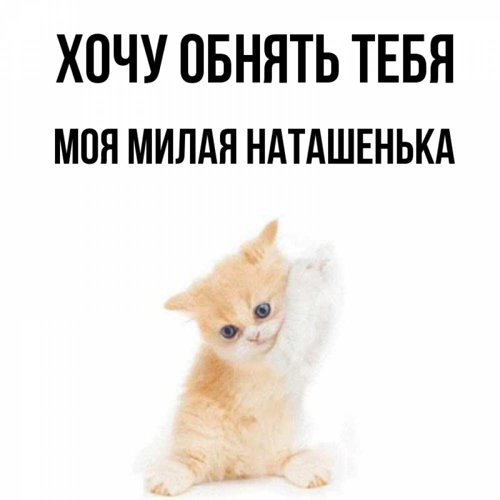 открытки с днём рождения наташа. хочу наташеньку. я тебя люблю наташенька. поздравление с юбилеем наталье. картинка со словами наташечка я хочу тебя.