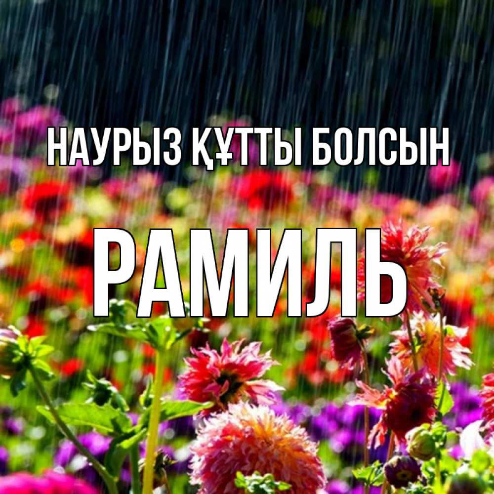 Открытка на каждый день с именем, Рамиль Наурыз құтты болсын цветы под дождиком к наурызу Прикольная открытка с пожеланием онлайн скачать бесплатно 
