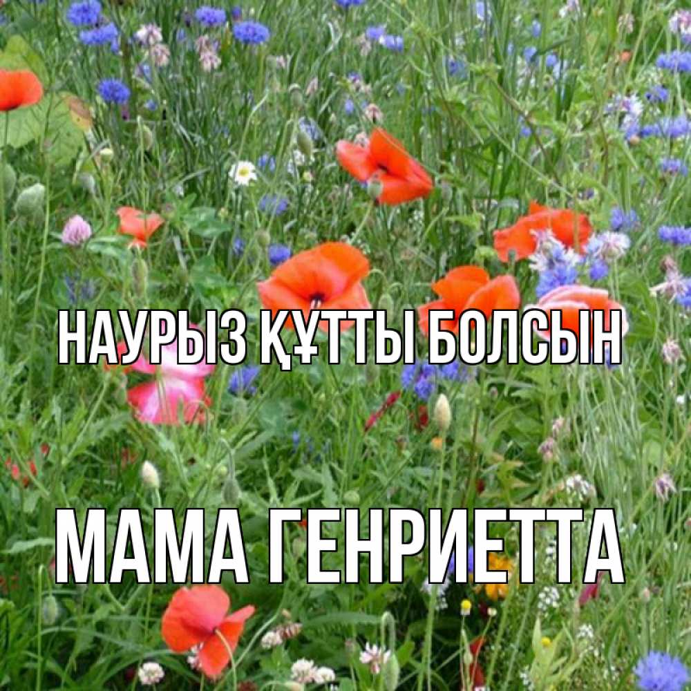 Открытка на каждый день с именем, Мама-Генриетта Наурыз құтты болсын наурыз  4 Прикольная открытка с пожеланием онлайн скачать бесплатно 