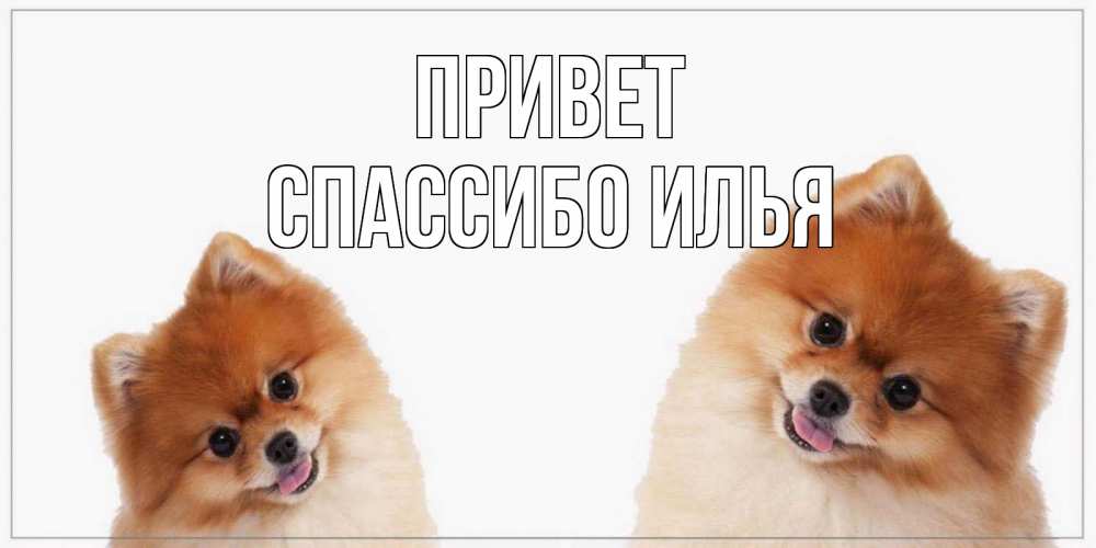 Привет Илья Картинки