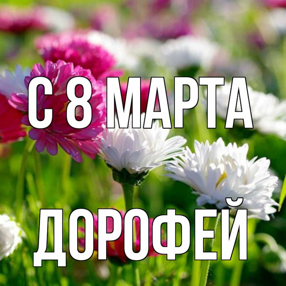 Открытка на каждый день с именем, Дорофей С 8 МАРТА международный женский день 1 Прикольная открытка с пожеланием онлайн скачать бесплатно 