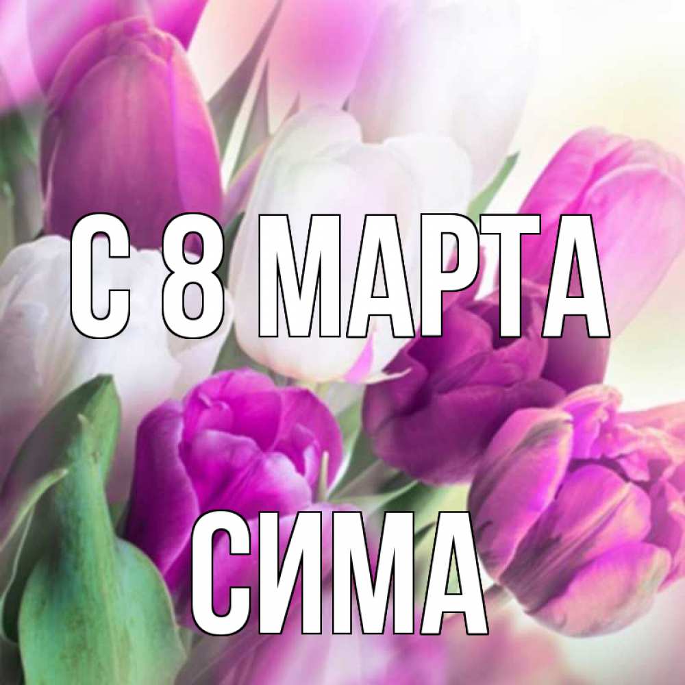 Открытка на каждый день с именем, Сима С 8 марта весна 1 Прикольная открытка с пожеланием онлайн скачать бесплатно 